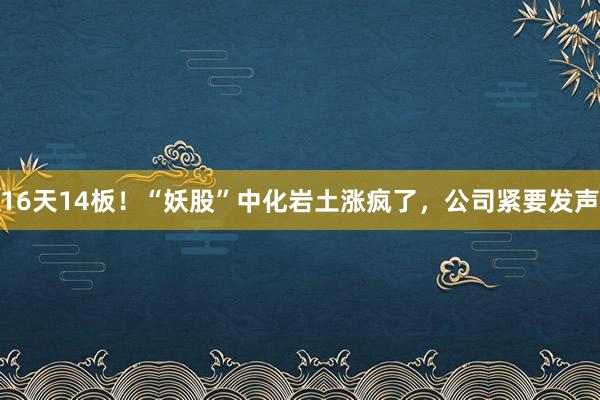 16天14板！“妖股”中化岩土涨疯了，公司紧要发声