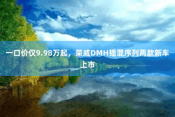 一口价仅9.98万起，荣威DMH插混序列两款新车上市