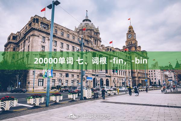 20000单词 七、词根 -fin，-bin