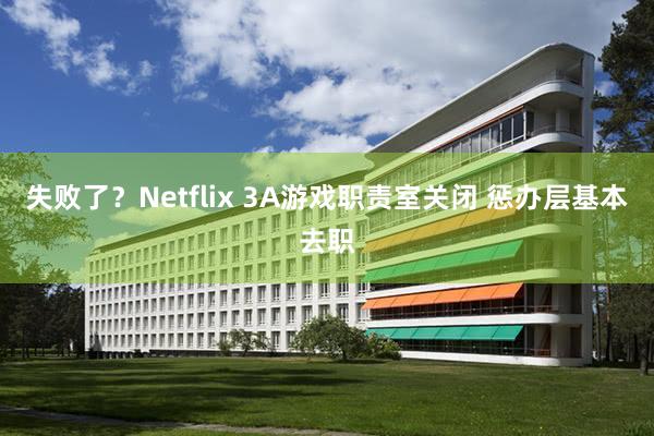 失败了？Netflix 3A游戏职责室关闭 惩办层基本去职